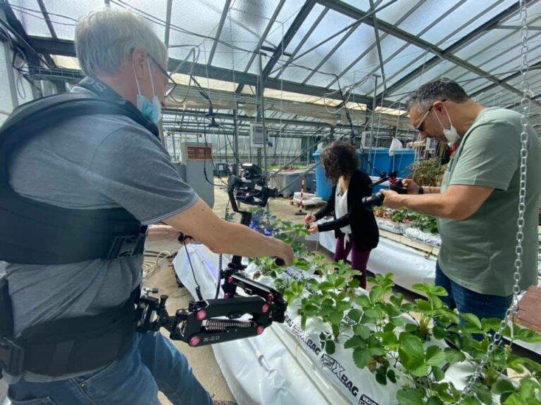 188562689_1168638230244781_7229508248900919478_n