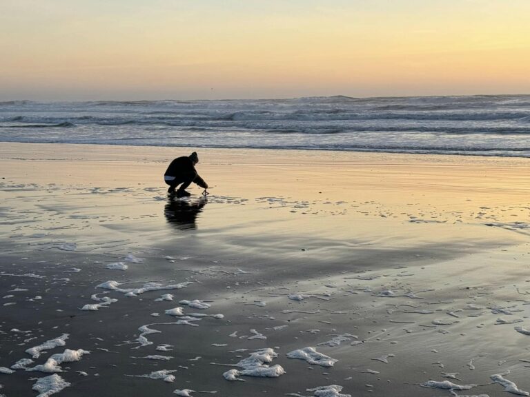 432729959_7624262860928394_5966843878310175461_n